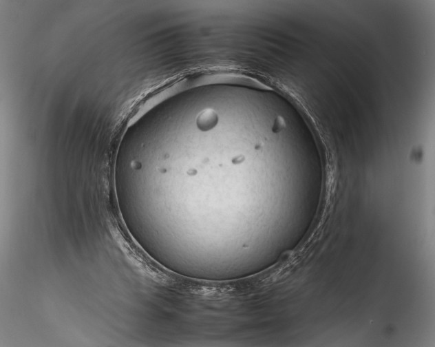 X0000115800345200911271256