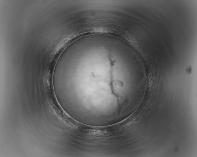 X0000115800347200911271256