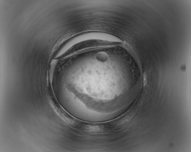 X0000115800349200911271256