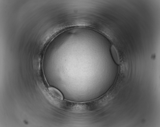 X0000115800350200911271256