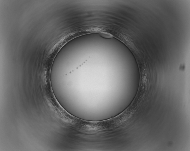 X0000115800351200911271256