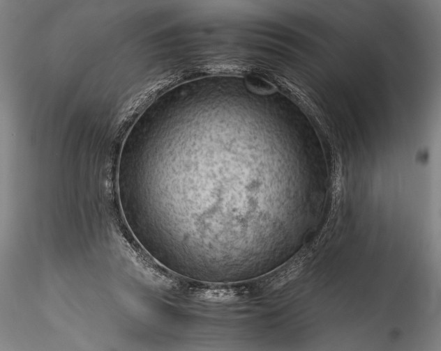 X0000115800353200911271256