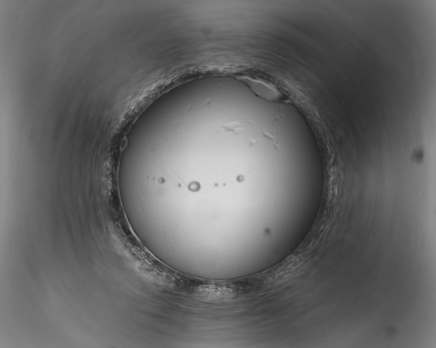 X0000115800354200911271256