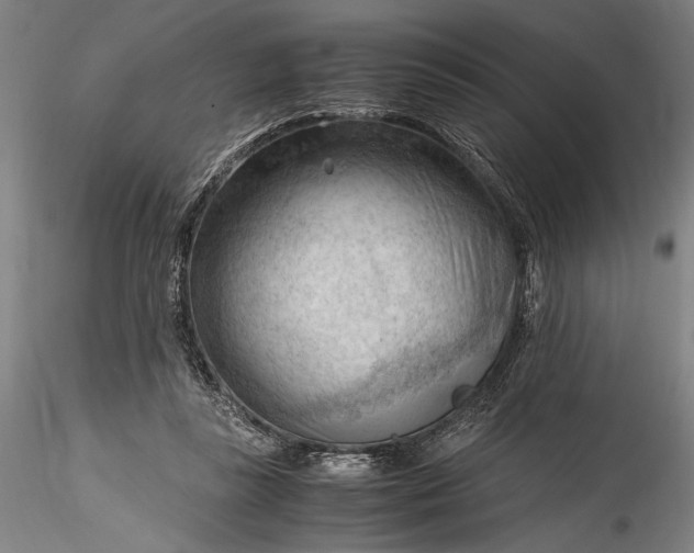 X0000115800355200911271256