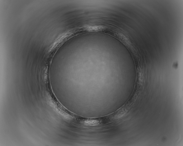 X0000115800357200911271256