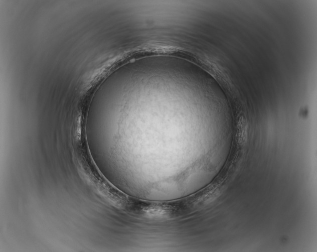 X0000115800358200911271256