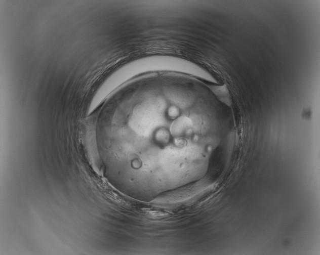 X0000115800359200911271256