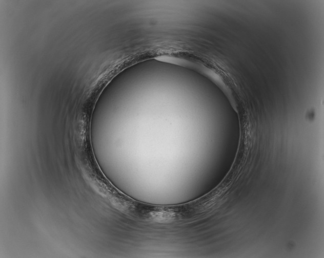 X0000115800362200911271256