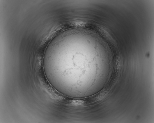 X0000115800363200911271256