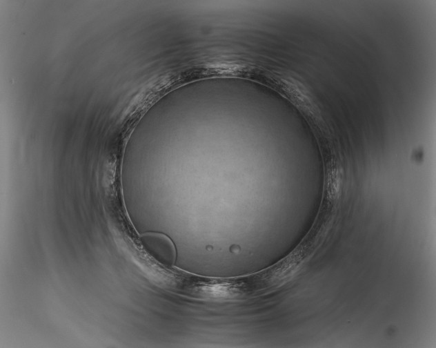 X0000115800365200911271256