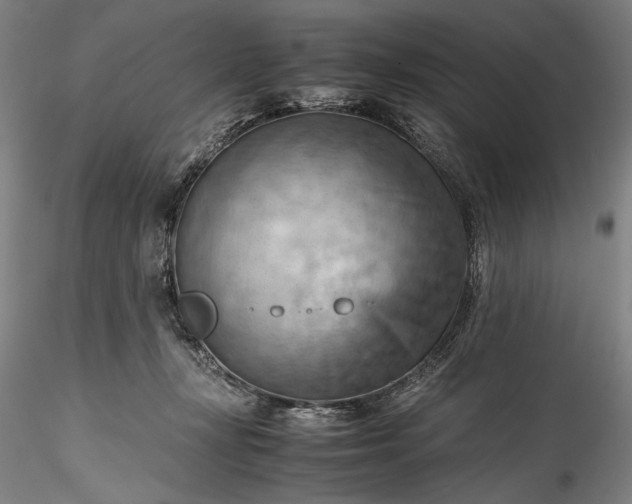 X0000115800367200911271256