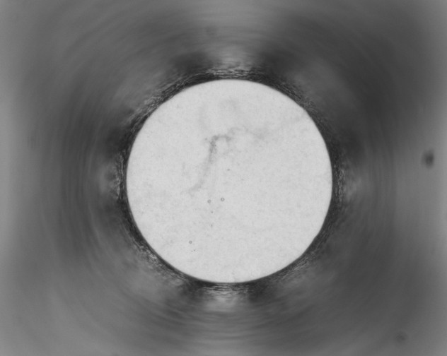 X0000115800370200911271256