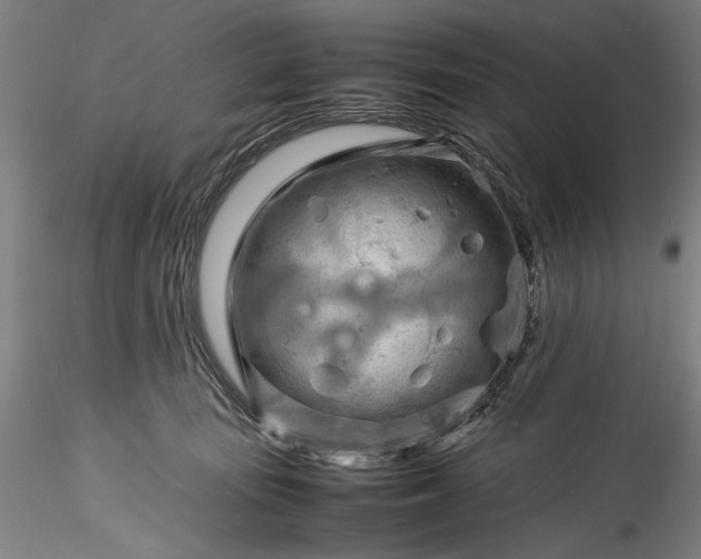 X0000115800371200911271256