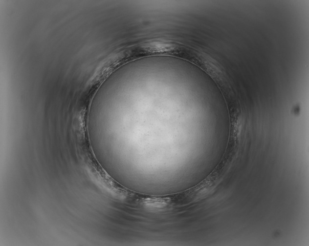 X0000115800373200911271256