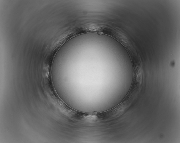 X0000115800374200911271256