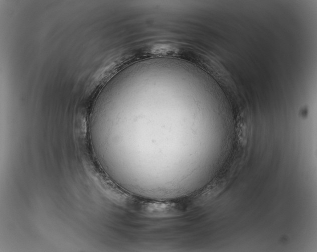 X0000115800375200911271256