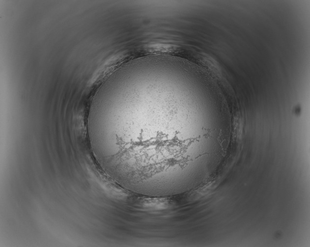 X0000115800377200911271256