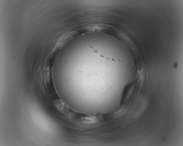 X0000115800381200911271256