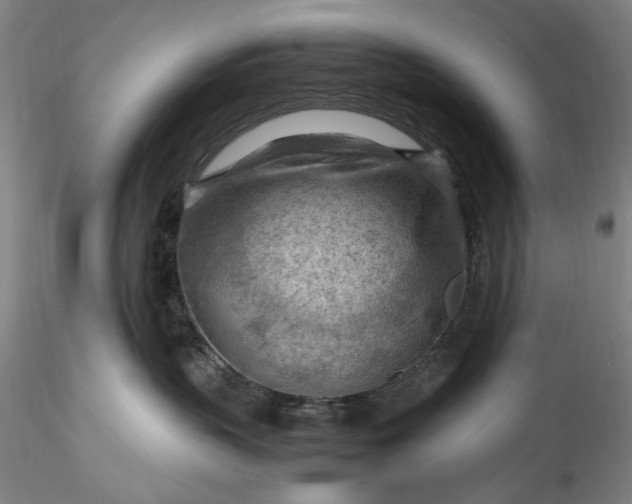 X0000115800383200911271256