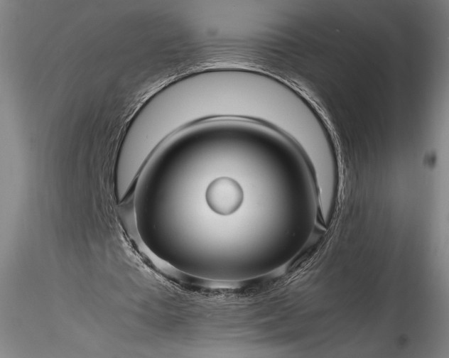 X0000115800385200911271256