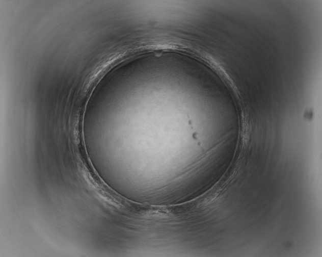 X0000115800386200911271256