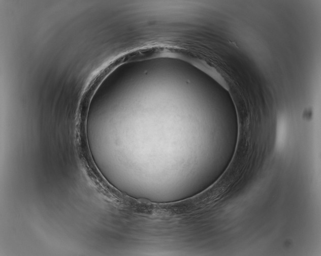 X0000115800388200911271256