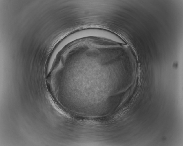 X0000115800389200911271256