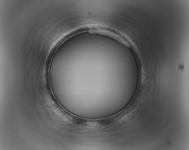 X0000115800391200911271256