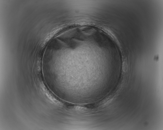 X0000115800393200911271255