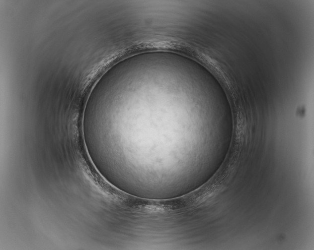 X0000115800394200911271255