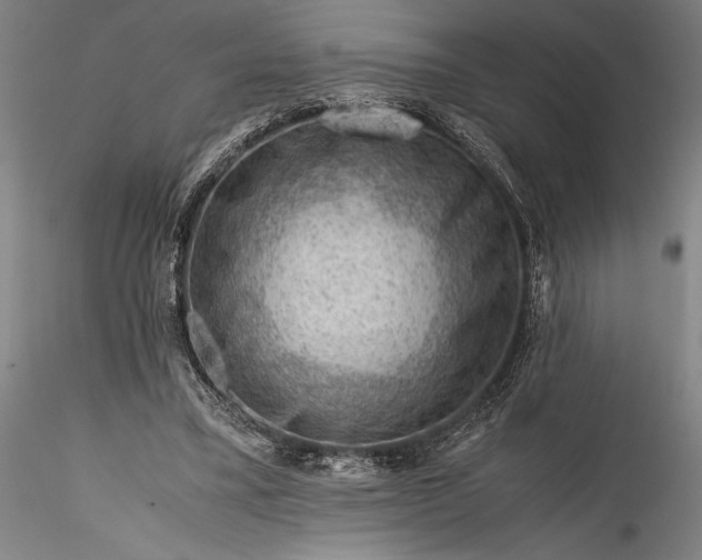 X0000115800395200911271255