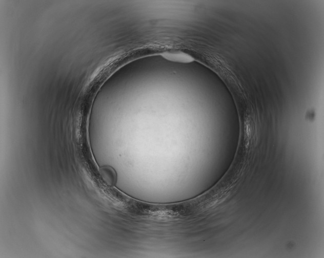 X0000115800396200911271255