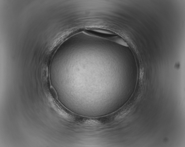 X0000115800397200911271255