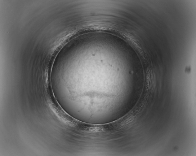 X0000115800398200911271255