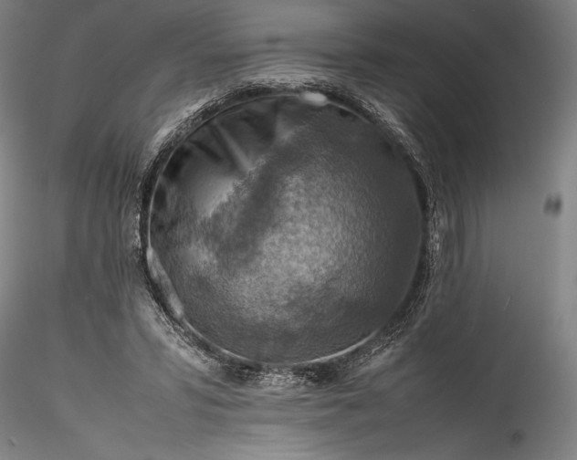 X0000115800399200911271255