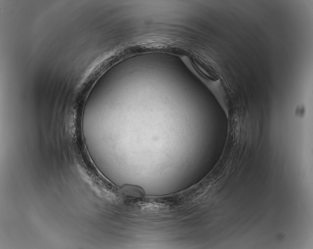 X0000115800400200911271255