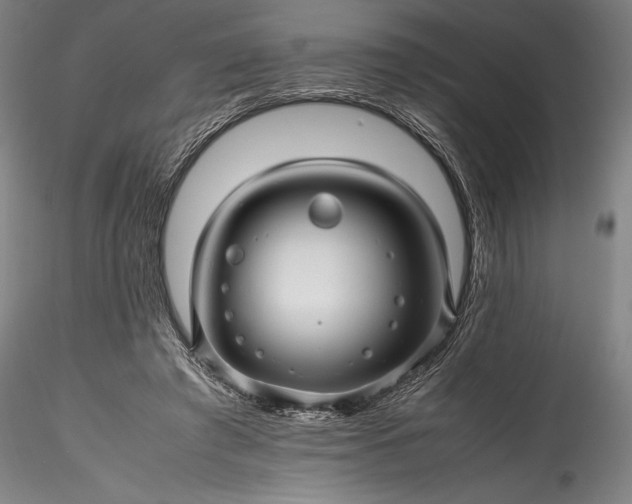 X0000115800401200911271255