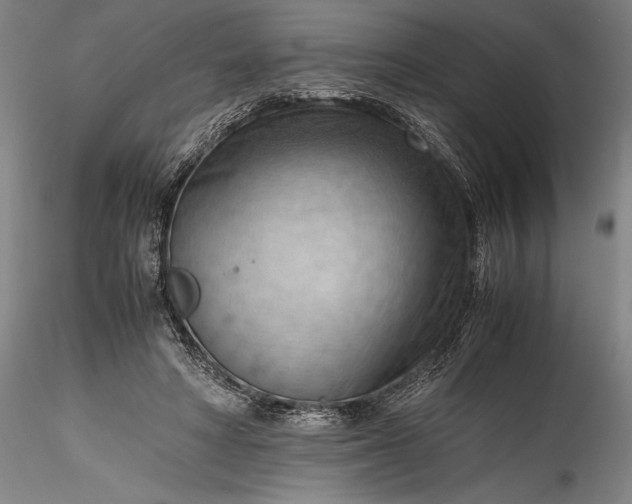 X0000115800402200911271255