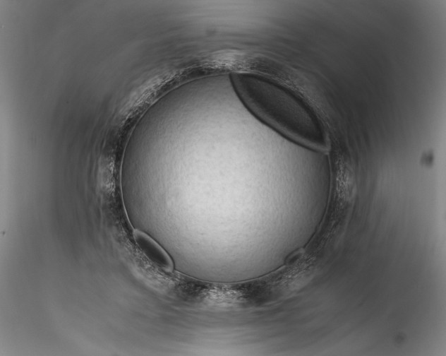 X0000115800403200911271255