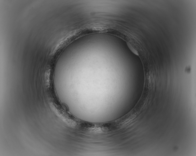 X0000115800404200911271255