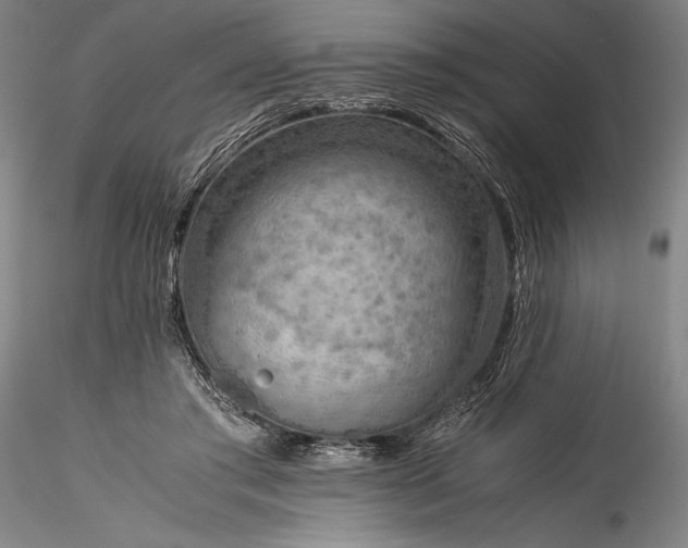 X0000115800405200911271255