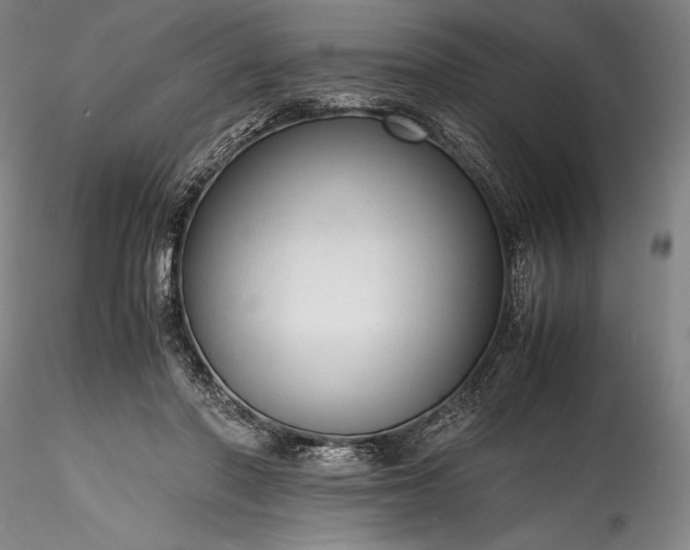 X0000115800406200911271255