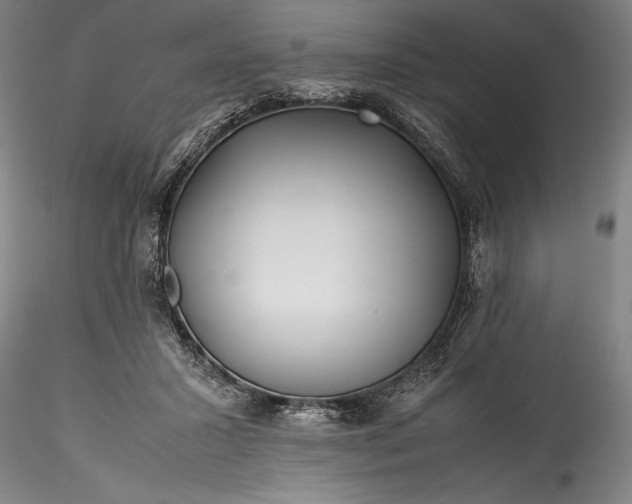 X0000115800407200911271255