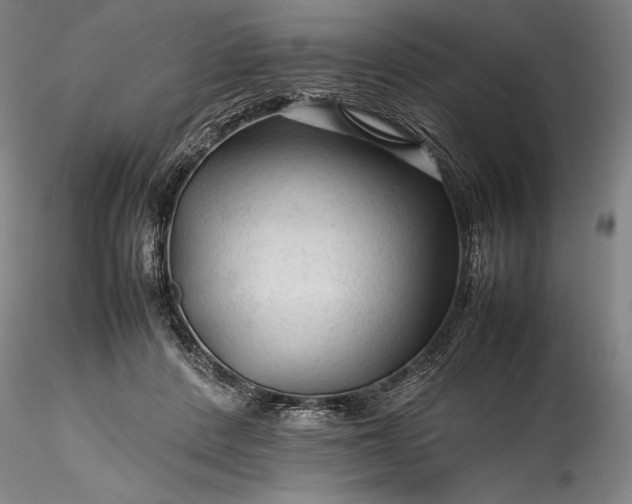 X0000115800408200911271255