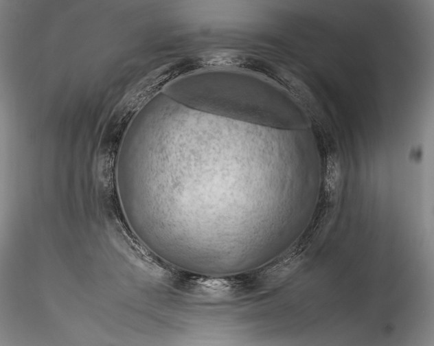 X0000115800409200911271255