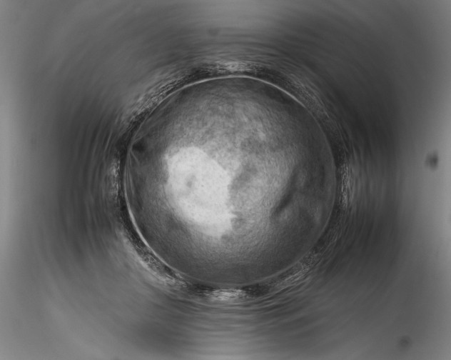 X0000115800410200911271255