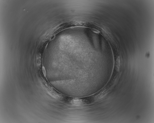 X0000115800413200911271255