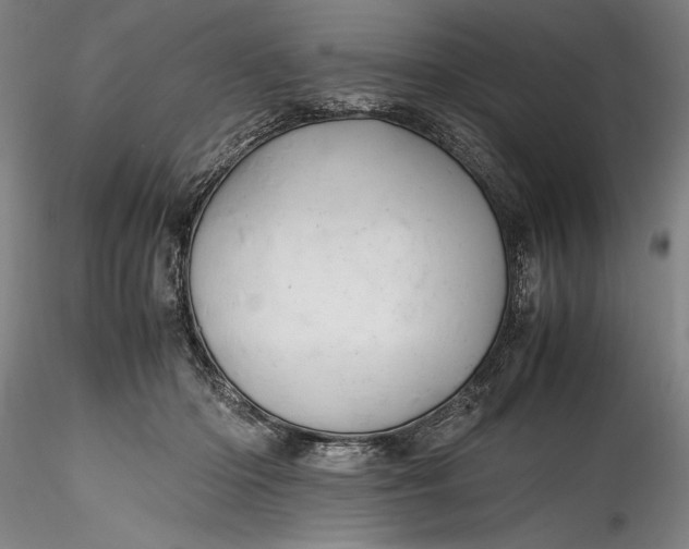 X0000115800414200911271255