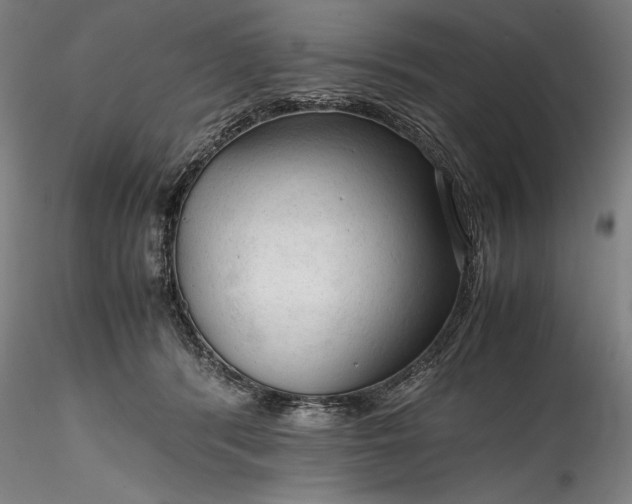 X0000115800416200911271255