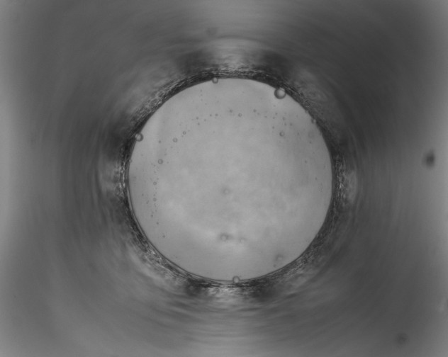 X0000115800419200911271255